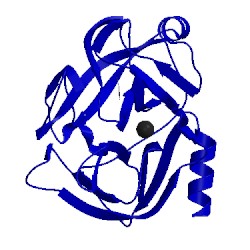 Image of CATH 1and