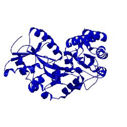 Image of CATH 1anf