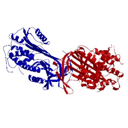 Image of CATH 1ant