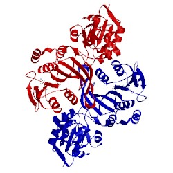 Image of CATH 1aqi