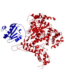 Image of CATH 1aro