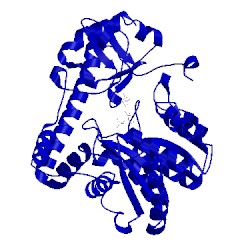 Image of CATH 1art