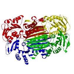 Image of CATH 1arz