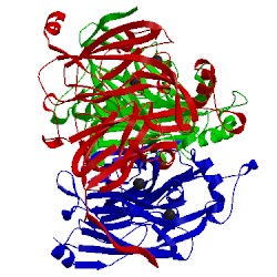 Image of CATH 1as6