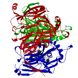 Image of CATH 1as7