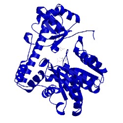 Image of CATH 1asg