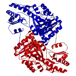 Image of CATH 1asm