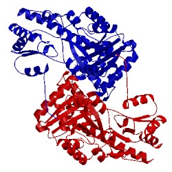 Image of CATH 1asn