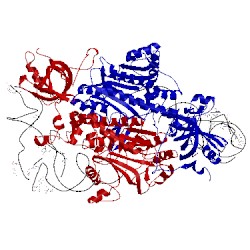 Image of CATH 1asy