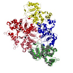 Image of CATH 1atj