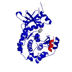 Image of CATH 1atp