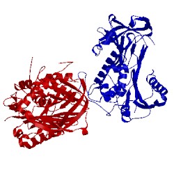 Image of CATH 1att