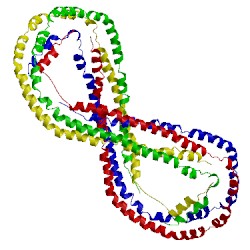 Image of CATH 1av1