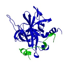 Image of CATH 1avg