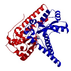 Image of CATH 1avm