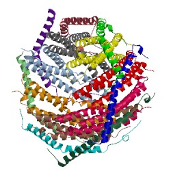 Image of CATH 1avo