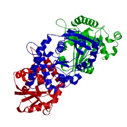 Image of CATH 1avq