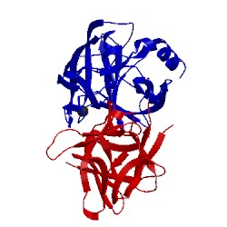 Image of CATH 1avx