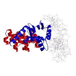 Image of CATH 1awc