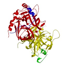 Image of CATH 1awh