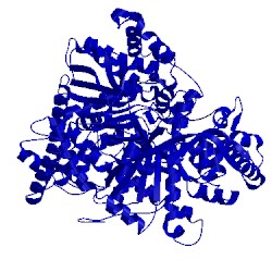 Image of CATH 1axr