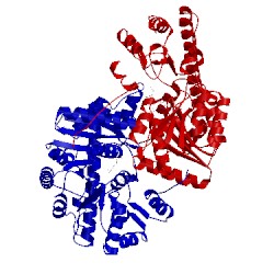 Image of CATH 1ay5