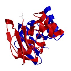 Image of CATH 1ayf