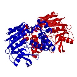 Image of CATH 1azw