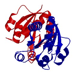 Image of CATH 1b00