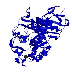 Image of CATH 1b0i