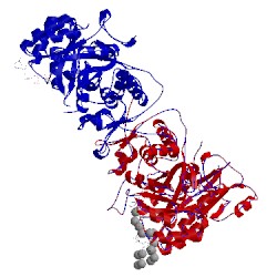Image of CATH 1b3o