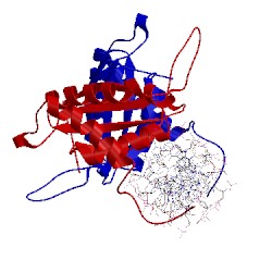 Image of CATH 1b3t