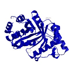 Image of CATH 1b3v