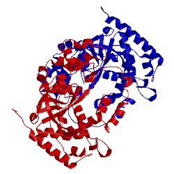 Image of CATH 1b43