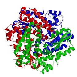 Image of CATH 1b47