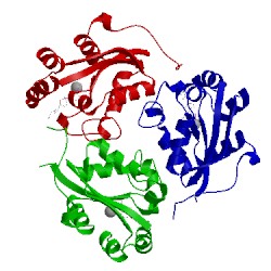 Image of CATH 1b4s