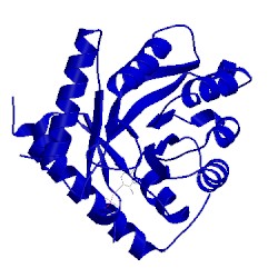 Image of CATH 1b54