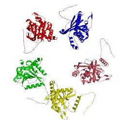 Image of CATH 1b5s