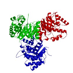 Image of CATH 1b5t