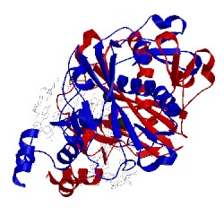 Image of CATH 1b94
