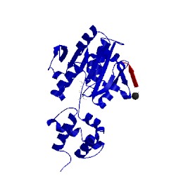 Image of CATH 1bc5