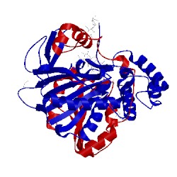 Image of CATH 1bcs