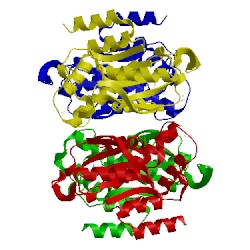 Image of CATH 1bd4