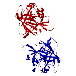 Image of CATH 1bda