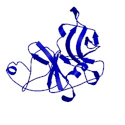 Image of CATH 1bef