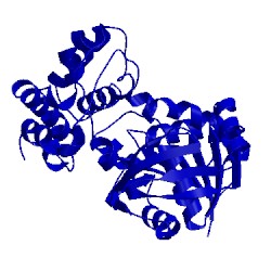 Image of CATH 1bg6