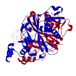 Image of CATH 1bgb