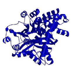 Image of CATH 1bgv