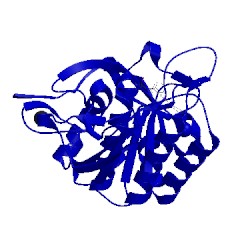 Image of CATH 1bh6