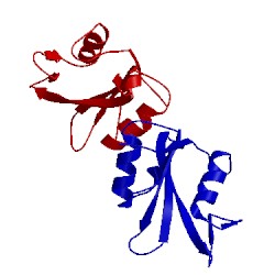 Image of CATH 1bhh